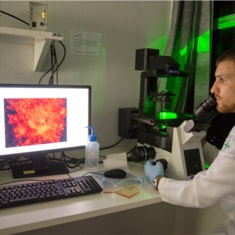 No Laboratório de Citotoxicidade são conduzidos experimentos com cultivos de células
